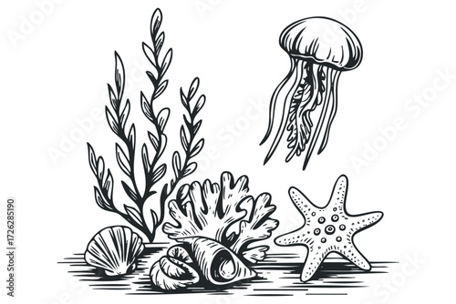 Ocean flora, fauna, and shells composition. Vector hand drawn illustration