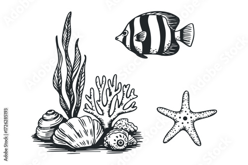 Hand drawn sea life including fish, coral, starfish and shells. Vector hand drawn illustration