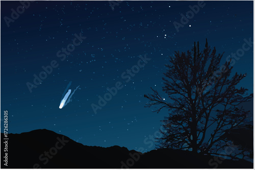 Dark night sky displays a bright comet and silhouetted trees