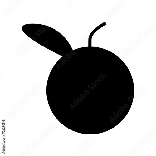 orange vector illustration glyph icon