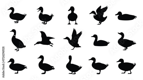 A collection of black silhouette illustrations of ducks and geese arranged in a grid pattern against a white background (