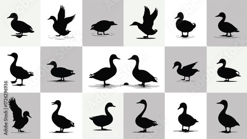 A collection of black silhouette illustrations of ducks and geese arranged in a grid pattern against a white background
