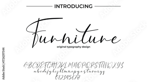Furniture - Elegant Script Font for Smooth Handwritten Design and Creative Typography