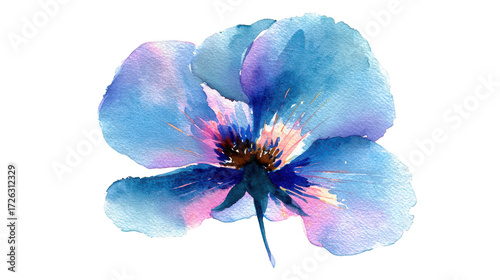 Vibrant blue and pink watercolor flower isolated on transparent background