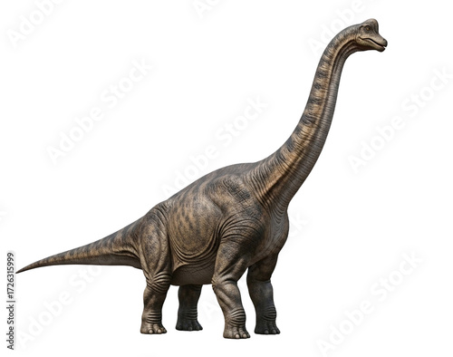 Brachiosaurus Transparent Background