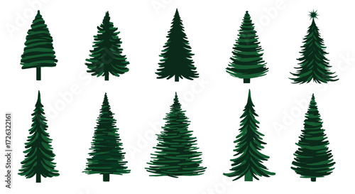 A collection of twelve digitally rendered evergreen trees in various styles and sizes.