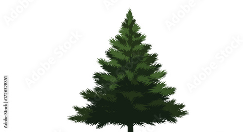 A solitary green evergreen conifer tree stands tall against a white background showcasing its dense foliage and conical shape.