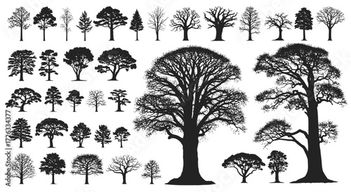 Collection of diverse tree silhouettes in various shapes and sizes.