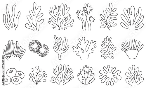Hand-Drawn Seaweed and Coral Line Art Collection