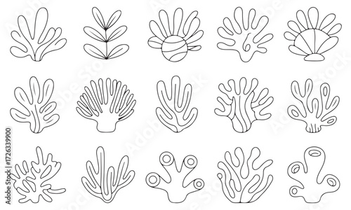 Hand-Drawn Seaweed and Coral Line Art Collection