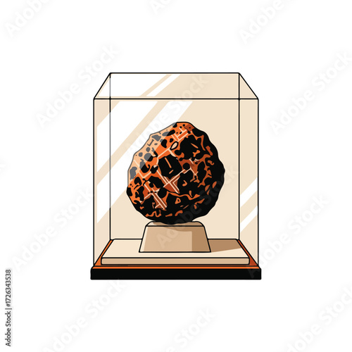 Rock Specimen in Glass Display Case