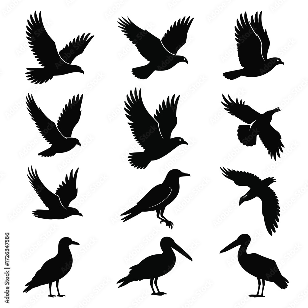 Obraz premium Vector silhouettes of various birds in flight and perched diverse avian wildlife collection eps vector