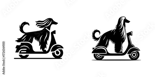 Modern Minimalist Afghan Hound Riding Scooter Icon, Flat Silhouette of a Dog Vector for Transportation Illustration Design