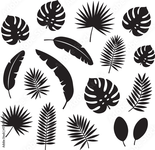 Tropical Leaf Silhouettes: A collection of detailed, graphic silhouettes of various tropical leaves, ideal for design projects, representing exotic plant life.