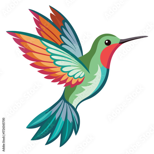 colorful humming bird Artwork