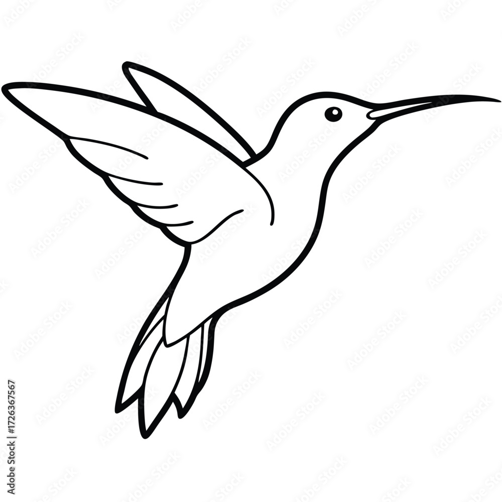 Obraz premium Adobe Illustrator Artwork