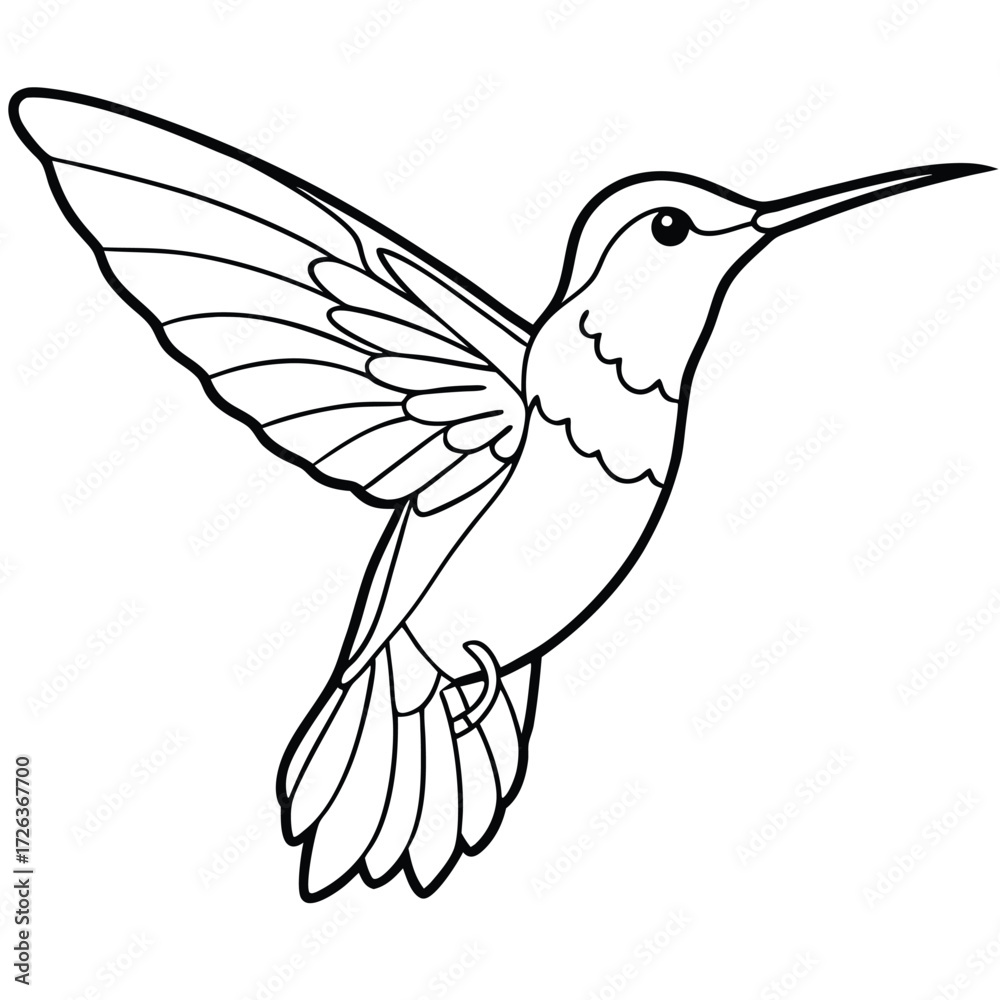 Obraz premium Adobe Illustrator Artwork