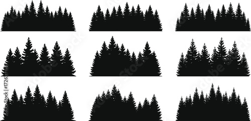 Forest tree silhouette set, pine and fir woodland vector, evergreen conifer background, natural outdoor landscape, black trees illustration graphic design