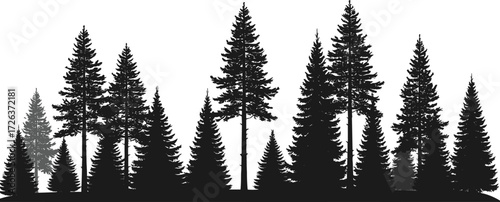 Forest tree silhouette vector, pine and fir woodland illustration, natural evergreen background, outdoor landscape art, conifer trees nature graphic design