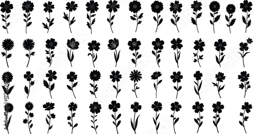 Wildflower silhouette vector bundle, floral botanical elements, black flower icons, decorative meadow plants, spring summer blossoms, natural garden illustration, nature inspired design set