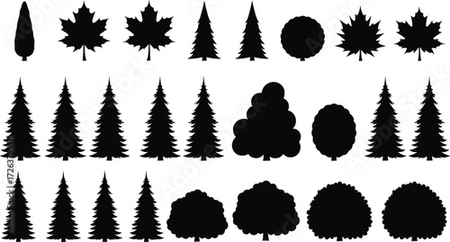 Tree and leaf silhouette collection, pine and maple vector set, forest nature illustration, evergreen and deciduous design, black graphic background