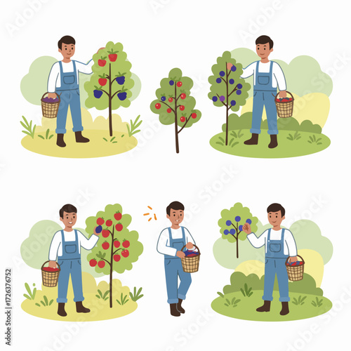 Illustrations of a cheerful farmer harvesting various fresh fruits like apples, berries, and plums from trees in an orchard, showcasing agriculture and healthy eating.