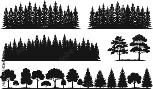 Forest tree silhouette collection, pine and deciduous woodland vector, black nature illustration, outdoor landscape design, evergreen scenery art background