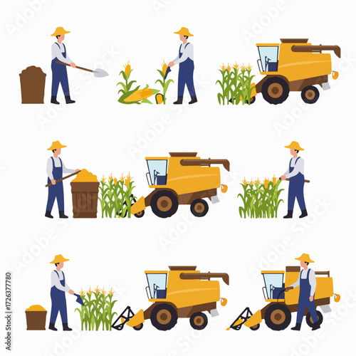 Corn Farming Process: Farmer and Combine Harvester Working in a Field, from Planting to Harvest.