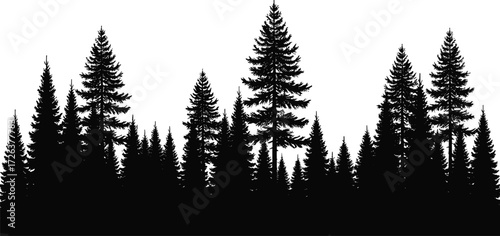 Dense pine forest silhouette, evergreen tree landscape vector, black woodland illustration, spruce nature background, outdoor design, wild conifer scenery art