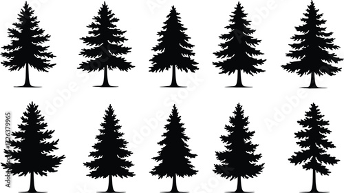Pine tree silhouettes collection, black evergreen trees vector illustration, forest design elements, nature minimal art, fir and spruce outline shapes