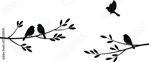 Silhouette birds on branches with leaves, flying bird in sky, nature wildlife scene, minimal black design, peaceful natural illustration