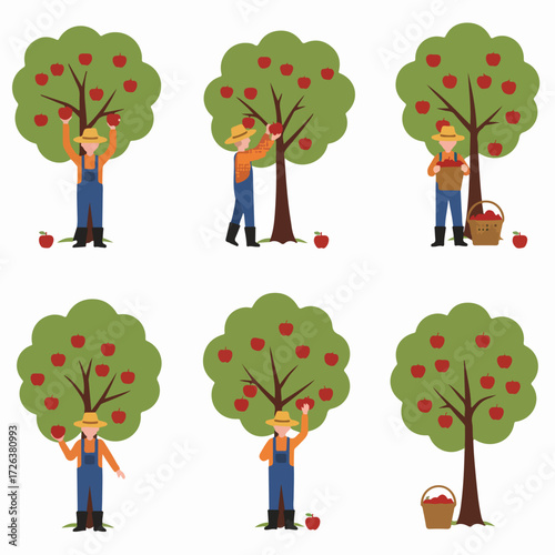 Flat design illustrations of a farmer harvesting red apples from trees, depicting various stages of fruit picking and collection in an orchard.