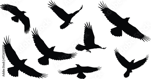 Flying bird silhouettes in motion, black crow shadow vector illustration, wildlife animals in flight, nature artwork isolated on white background