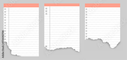 Torn Notepad Pages - Vector Illustration