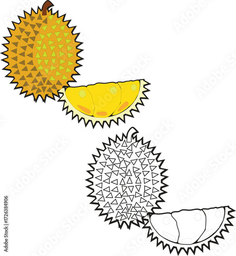 Durian fruit easy coloring page book for kids activity