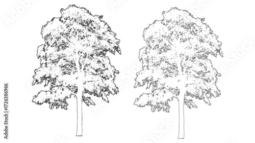 front View Vector Icons of Trees and Plants for Floor Plan and Architectural Design Projects	
