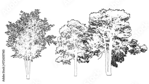 front View Vector Icons of Trees and Plants for Floor Plan and Architectural Design Projects	