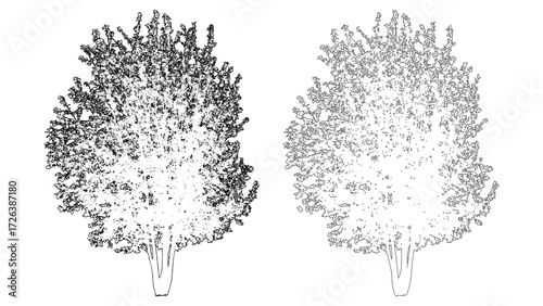 front View Vector Icons of Trees and Plants for Floor Plan and Architectural Design Projects	