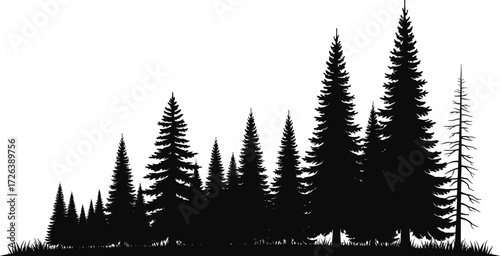 Pine tree forest silhouette, evergreen woodland, black vector illustration, nature landscape, wilderness background, outdoor scenery, conifer trees, woodland design graphic