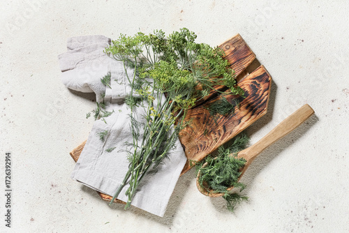Fresh green dill herb sprig...