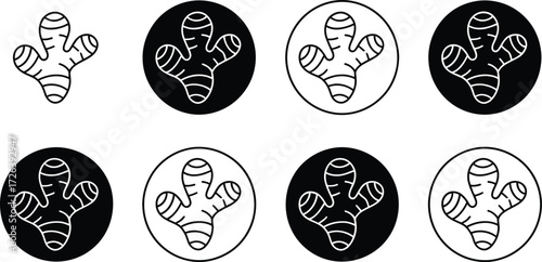 Ginger Root Icons: Black and White Variations