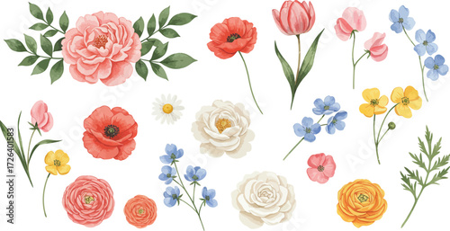 Watercolor floral arrangement with tulips roses and poppies on transparent background