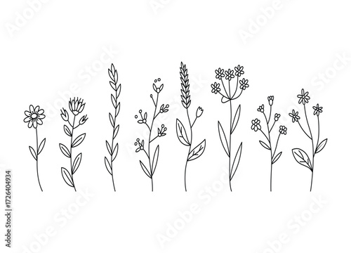 Φωτογραφία Minimalist Floral Line Art Illustration Featuring Diverse Wildflowers and Botani
