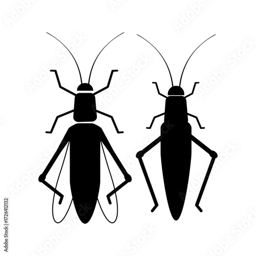 vector illustration of a Grasshopper