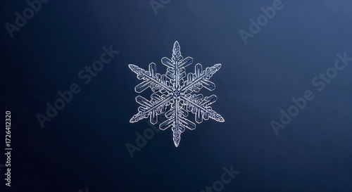 Ultra-Sharp Macro of a Single Snowflake on Deep Navy Background