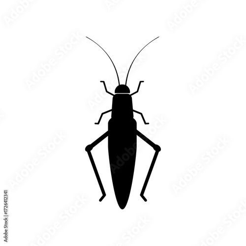 vector illustration of a Grasshopper