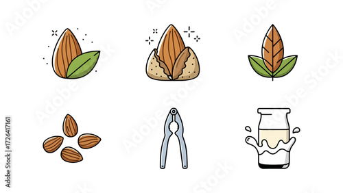 Almond nut products collection