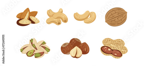 Assortment of nuts illustration