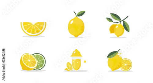 Citrus fruits collection illustration