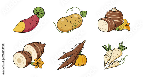 Collection of root vegetables illustration